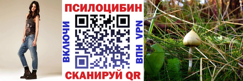 Псилоцибиновые грибы прущие грибы  Оренбург 