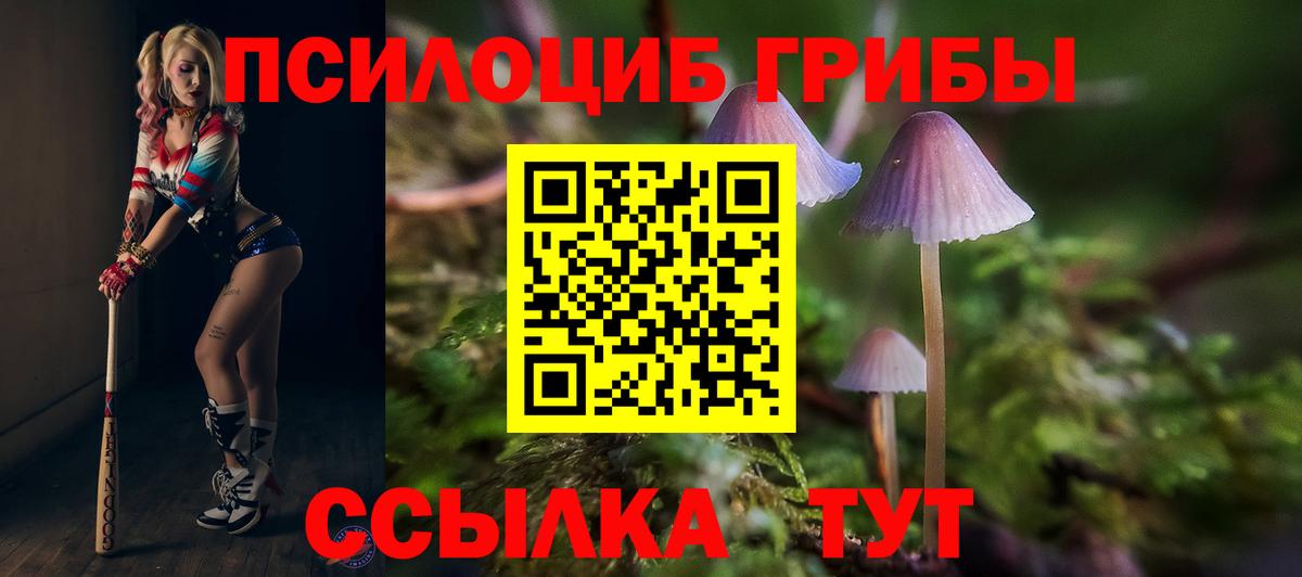 Псилоцибиновые грибы Cubensis  Вход с VPN  Оренбург 